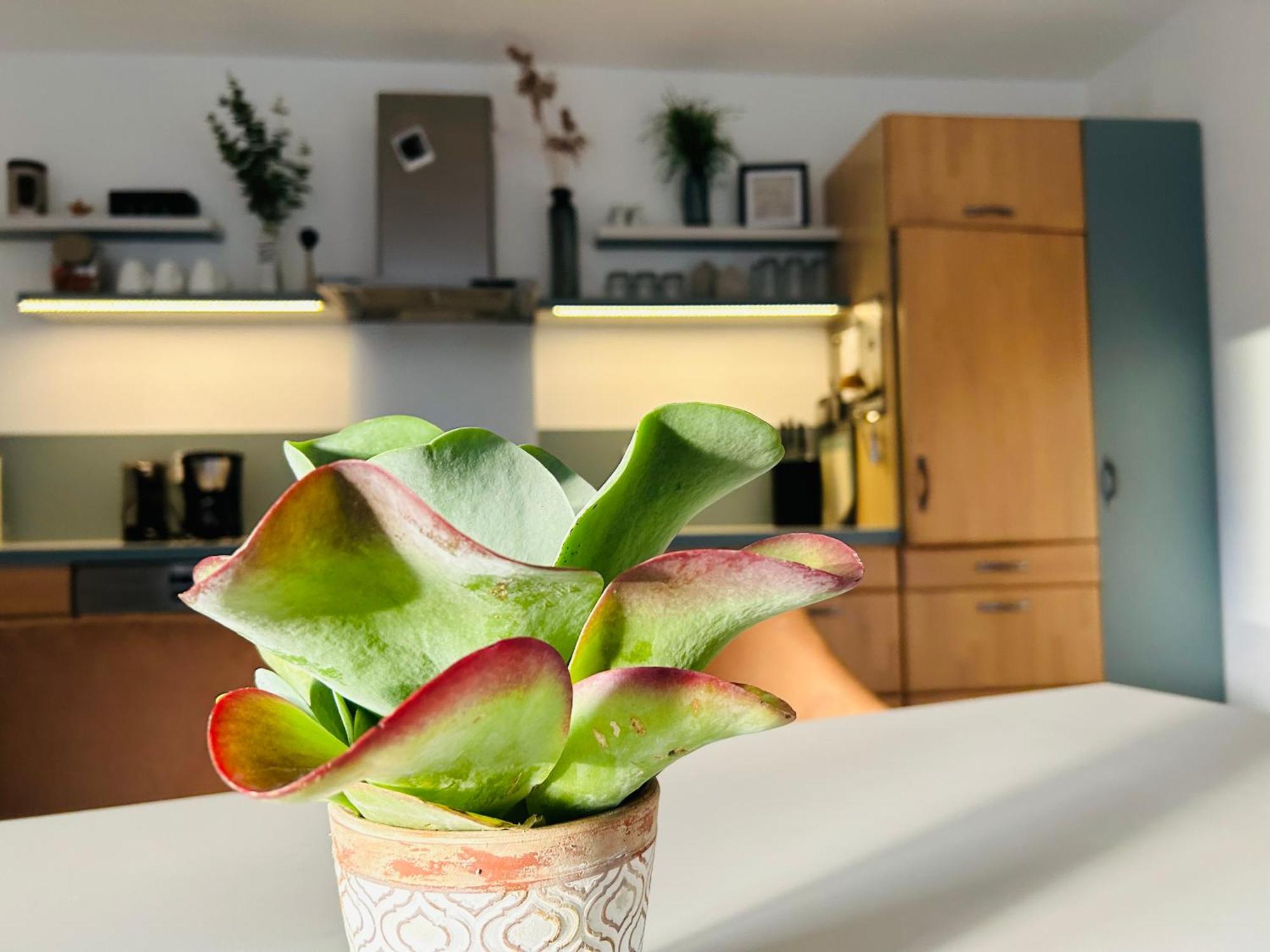 137Hideaway Ferienwohnung Eichstaett Kültér fotó