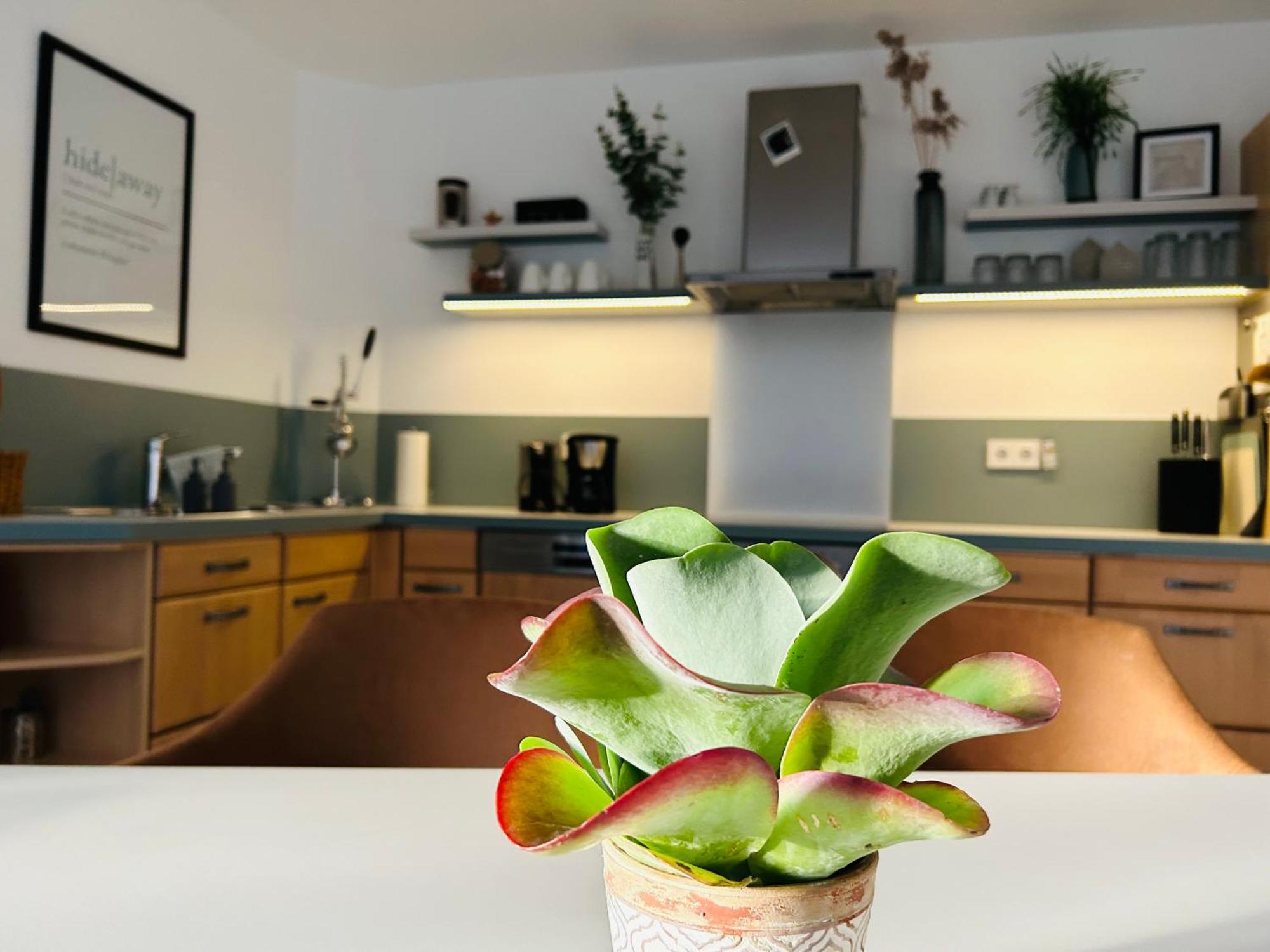137Hideaway Ferienwohnung Eichstaett Kültér fotó